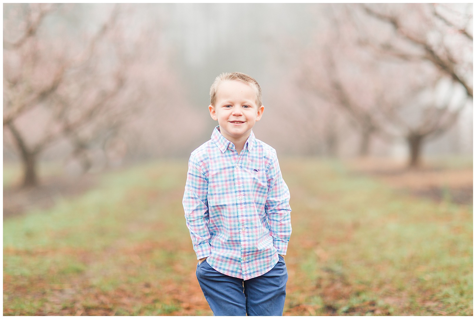 Charlotte NC Peach Tree Mini Sessions photographer