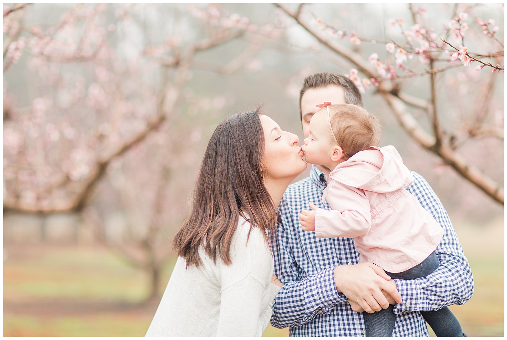 Charlotte NC Peach Tree Mini Sessions photographer