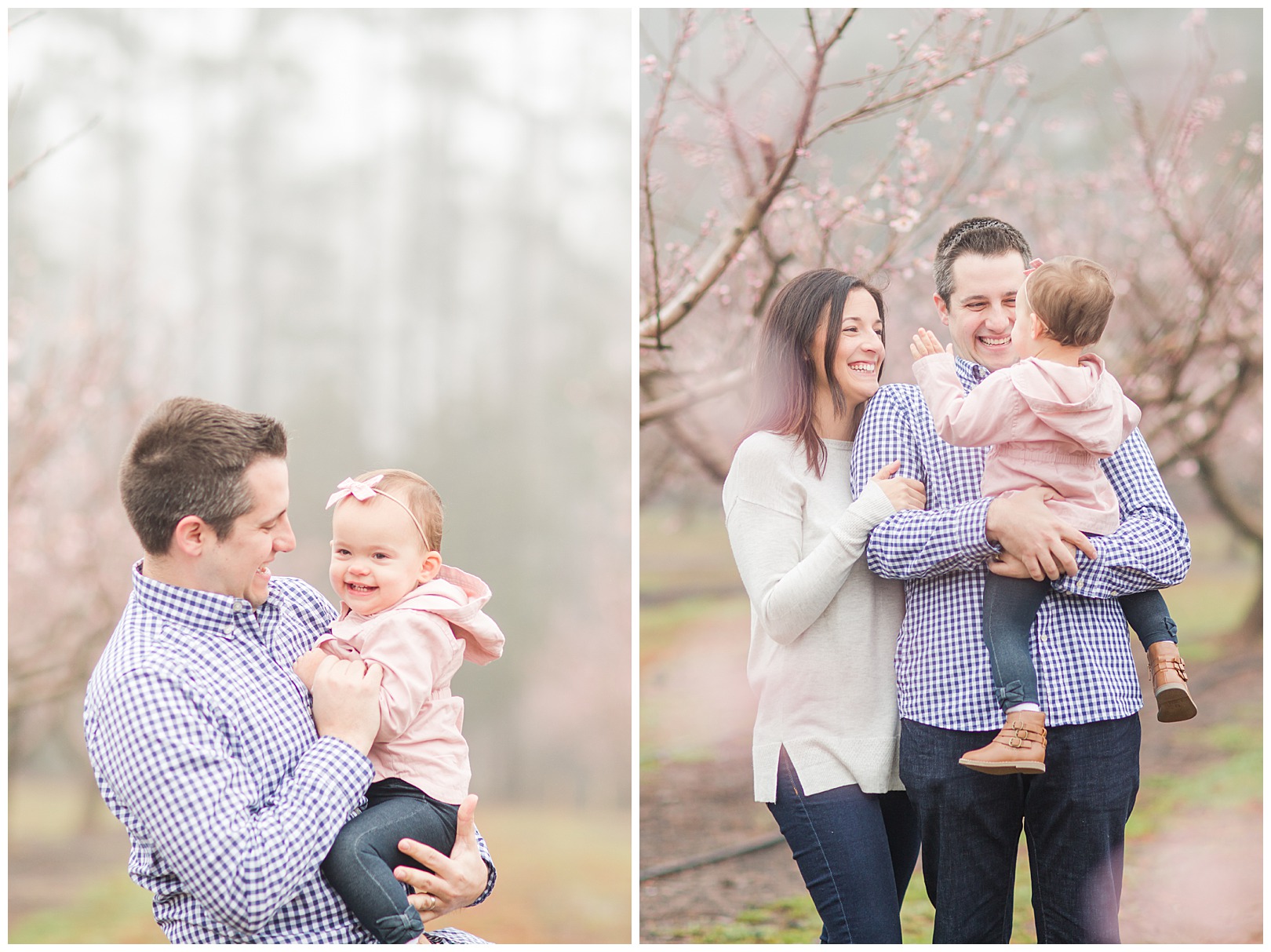 Charlotte NC Peach Tree Mini Sessions photographer