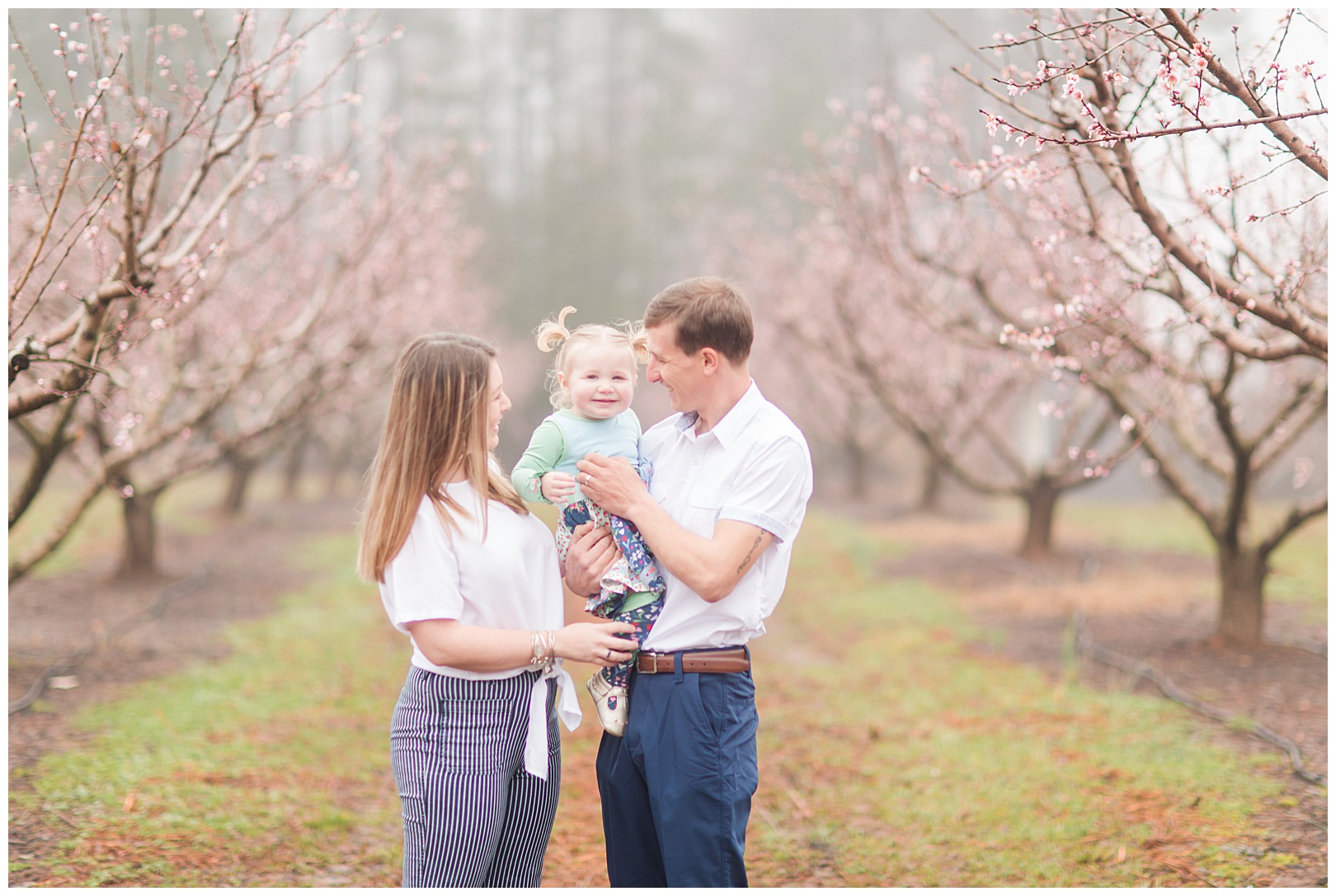 Charlotte NC Peach Tree Mini Sessions photographer