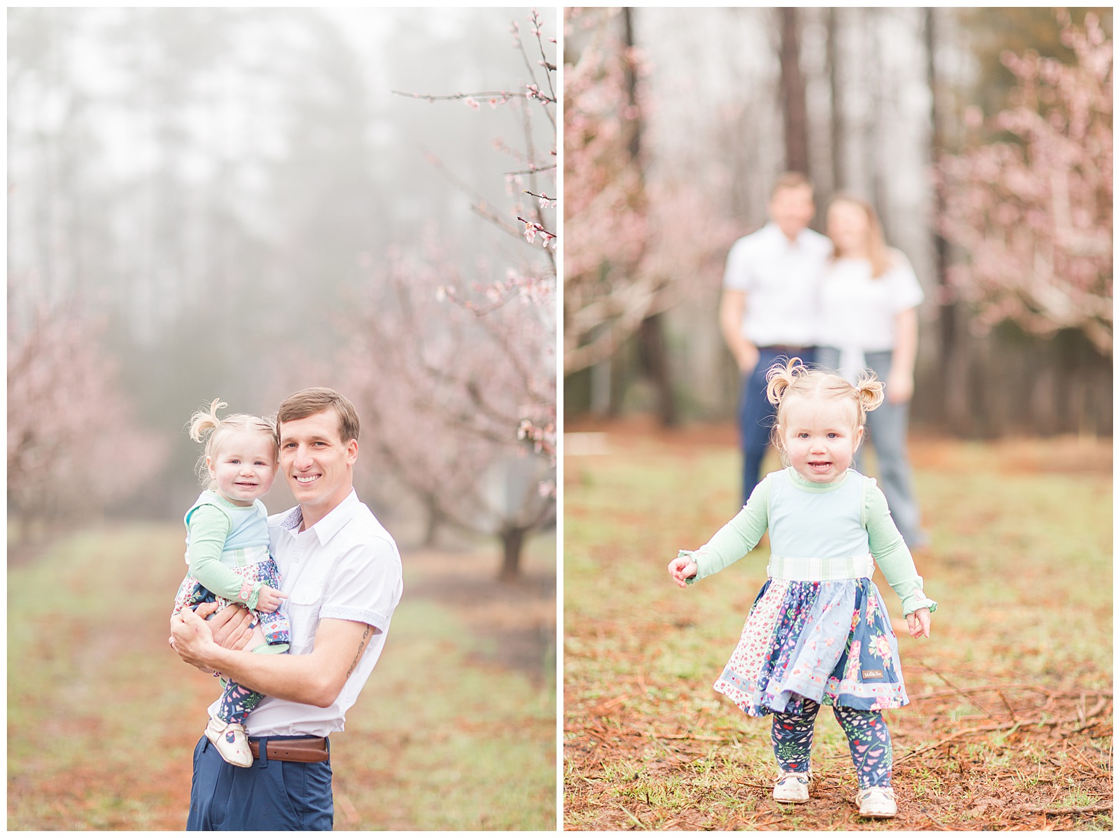 Charlotte NC Peach Tree Mini Sessions photographer