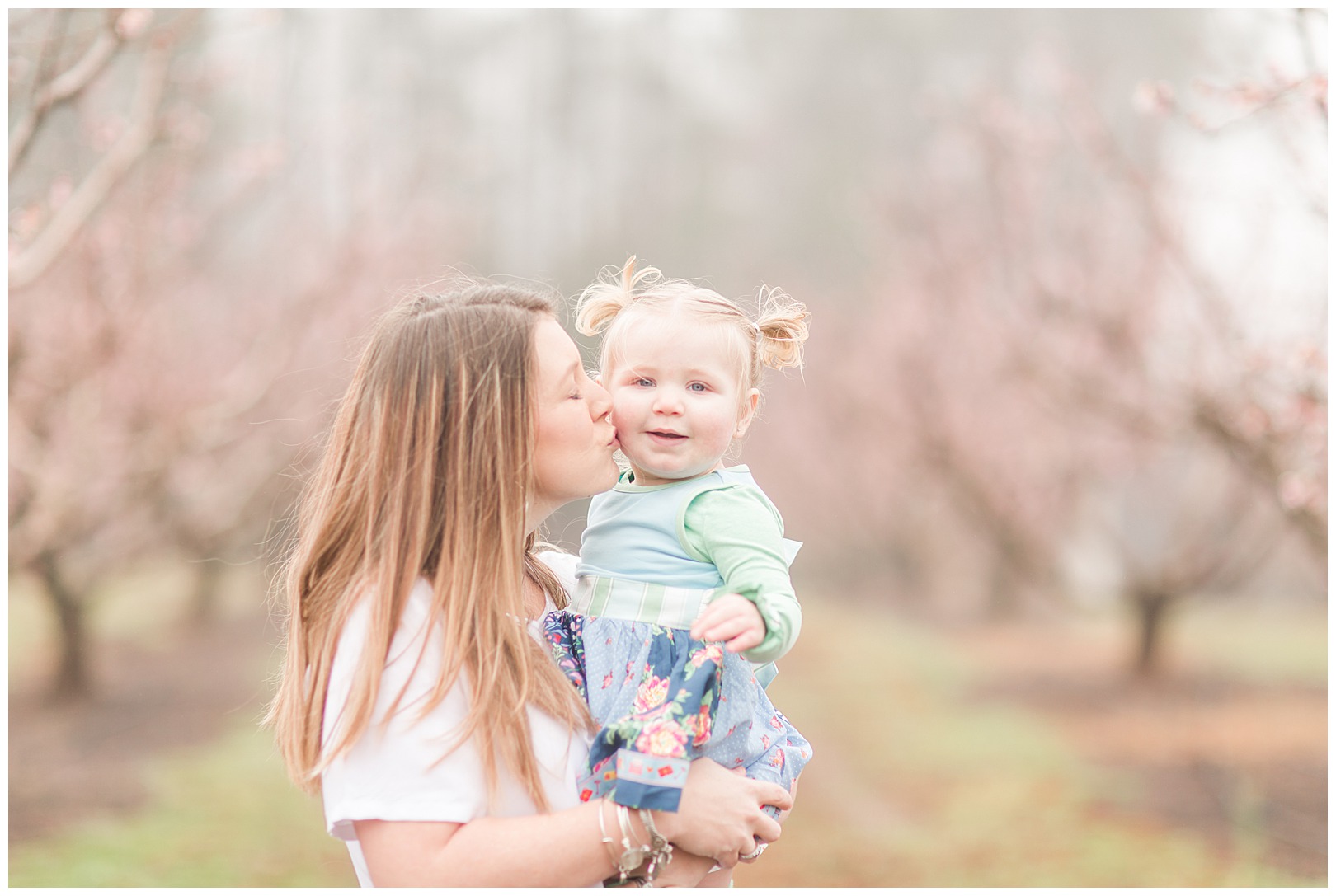 Charlotte NC Peach Tree Mini Sessions photographer