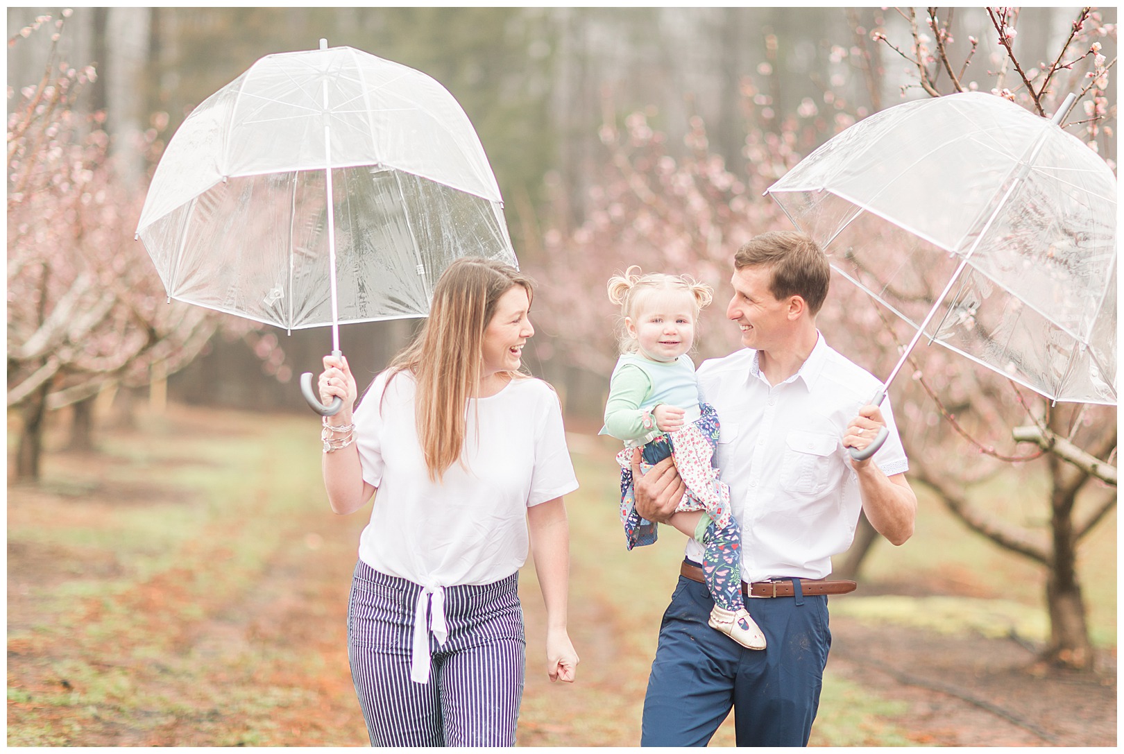 Charlotte NC Peach Tree Mini Sessions photographer