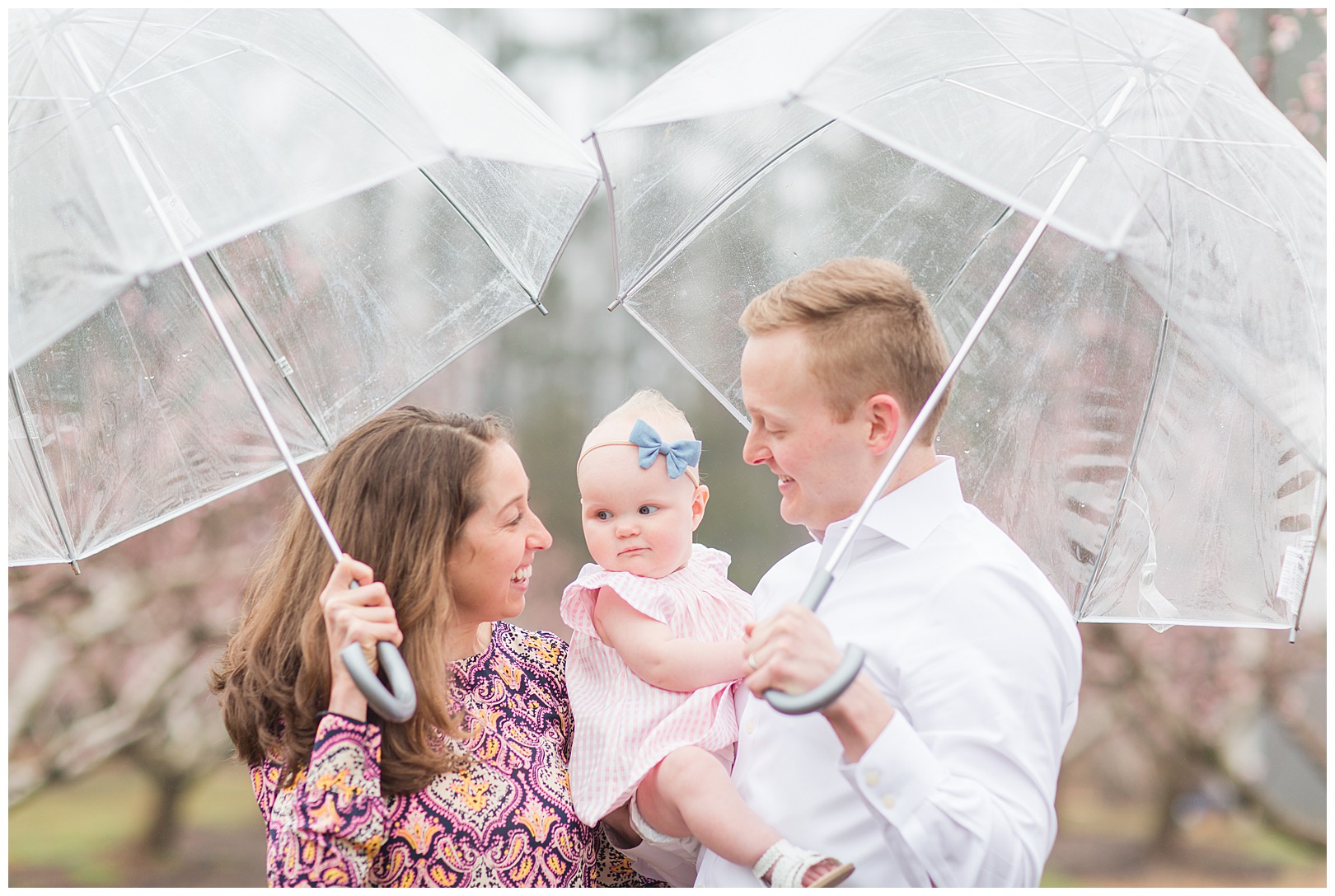 Charlotte NC Peach Tree Mini Sessions photographer