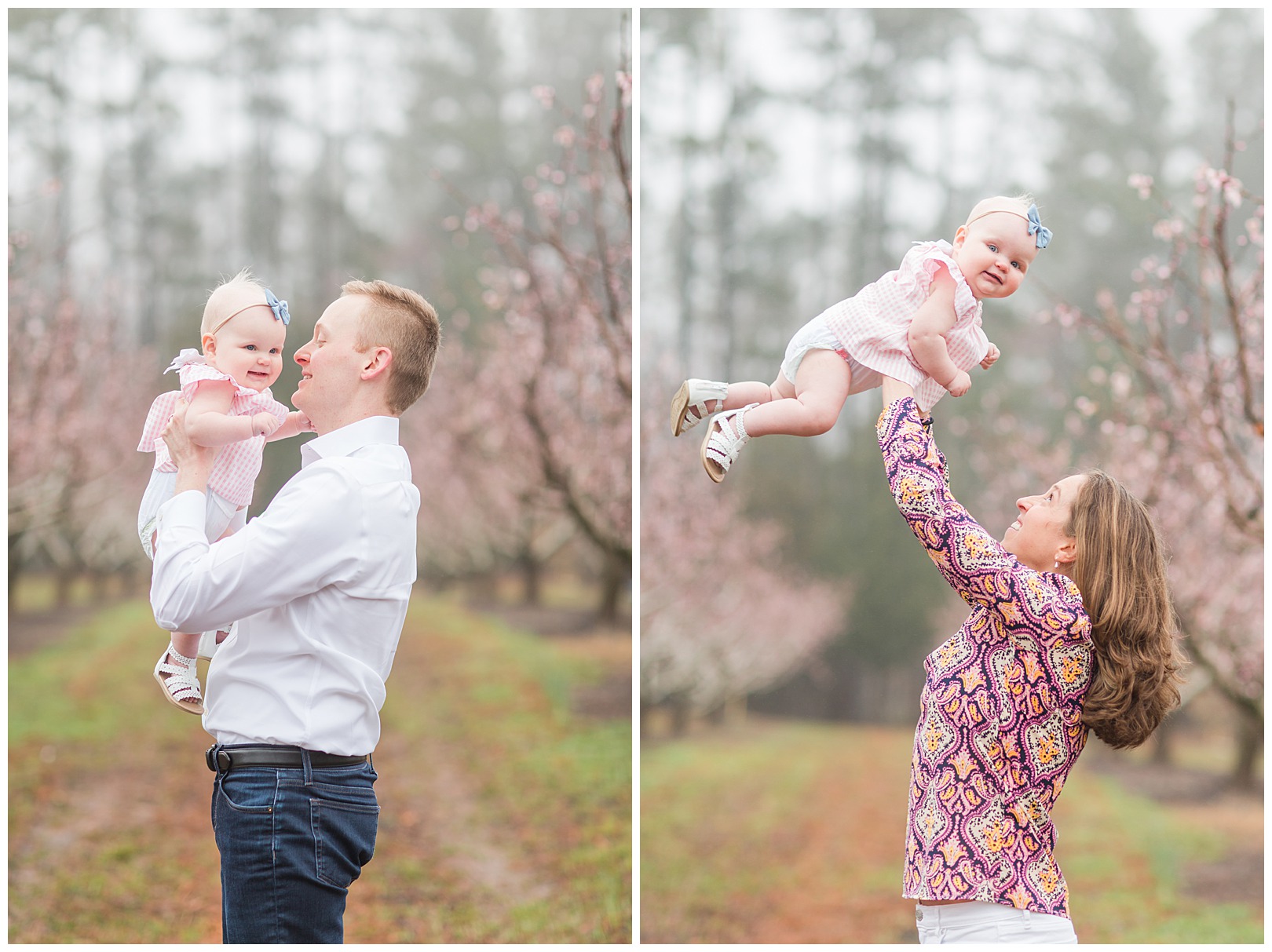 Charlotte NC Peach Tree Mini Sessions photographer