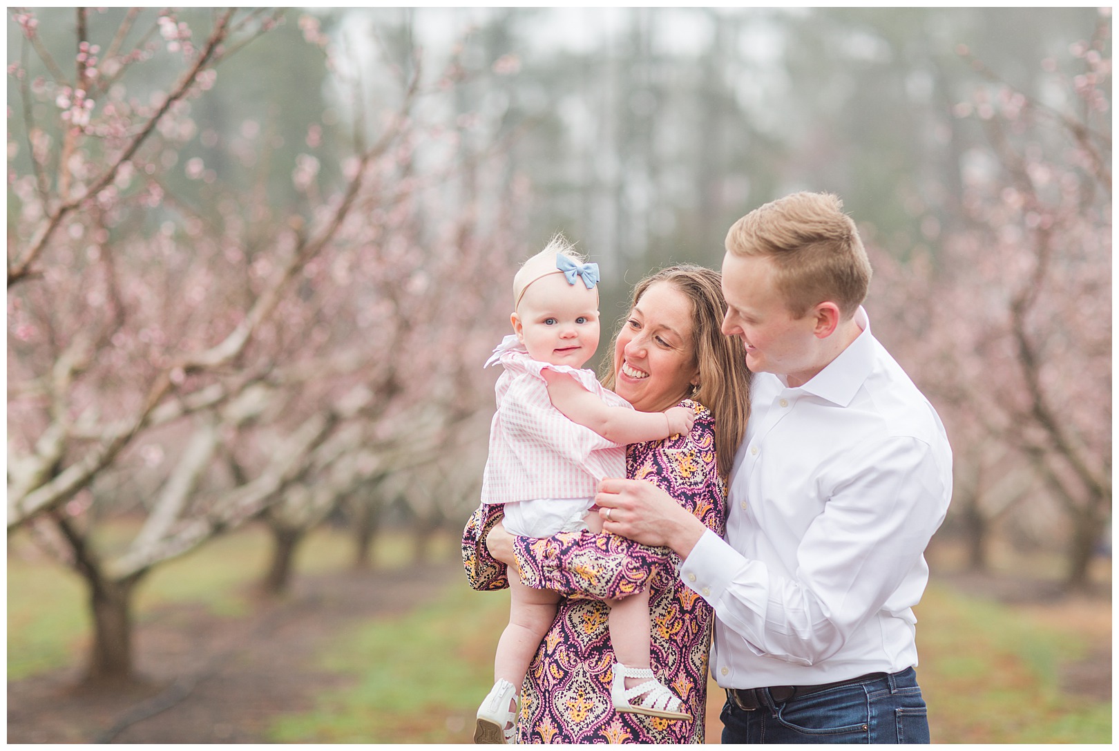 Charlotte NC Peach Tree Mini Sessions photographer