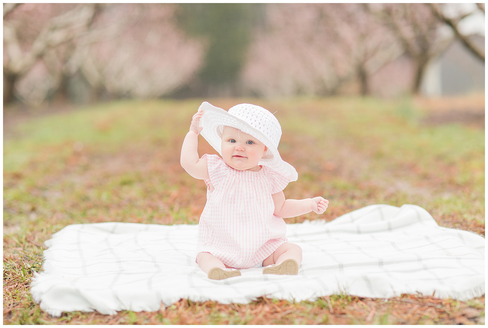 Charlotte NC Peach Tree Mini Sessions photographer