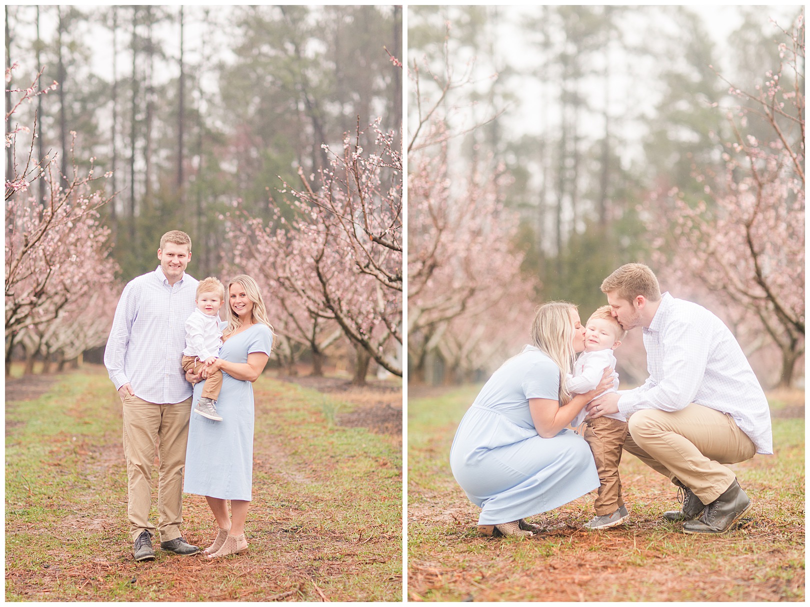 Charlotte NC Peach Tree Mini Sessions photographer