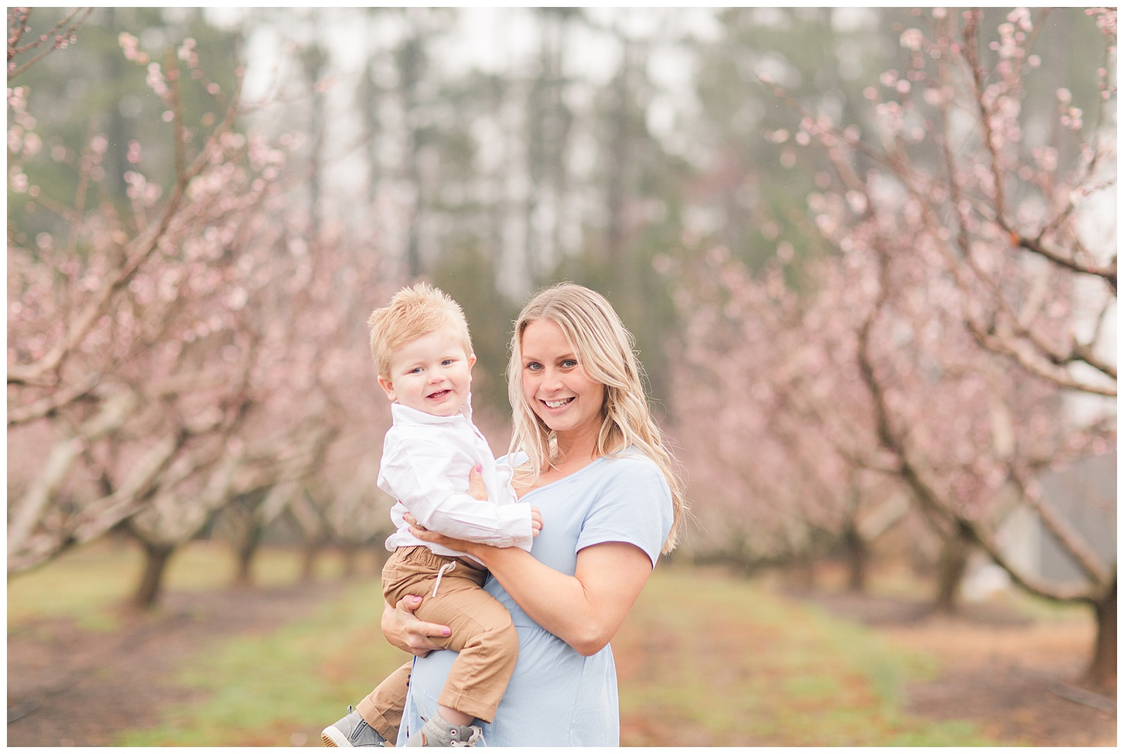 Charlotte NC Peach Tree Mini Sessions photographer