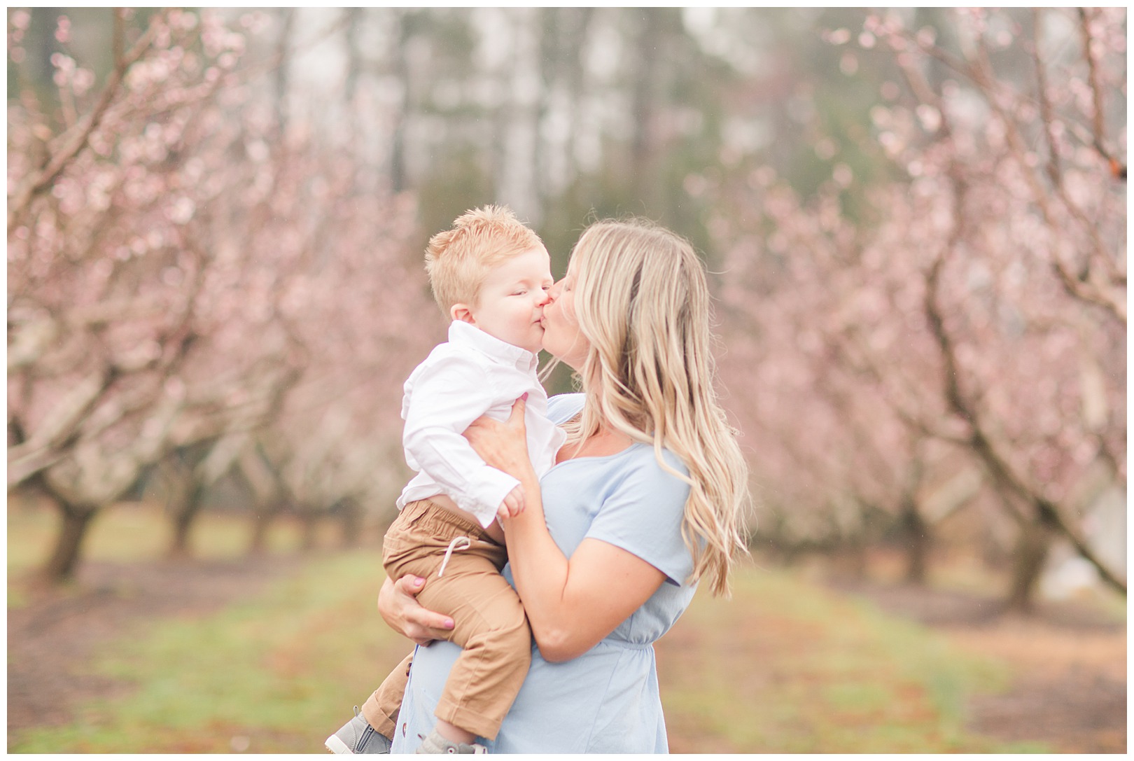 Charlotte NC Peach Tree Mini Sessions photographer