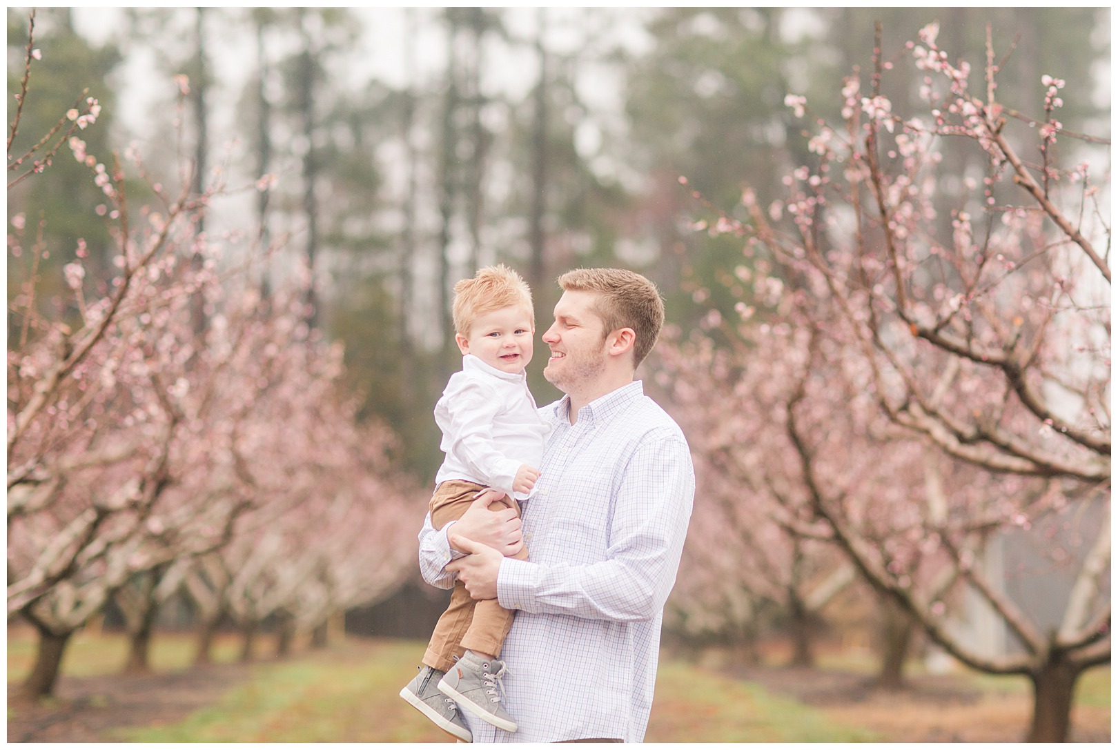 Charlotte NC Peach Tree Mini Sessions photographer