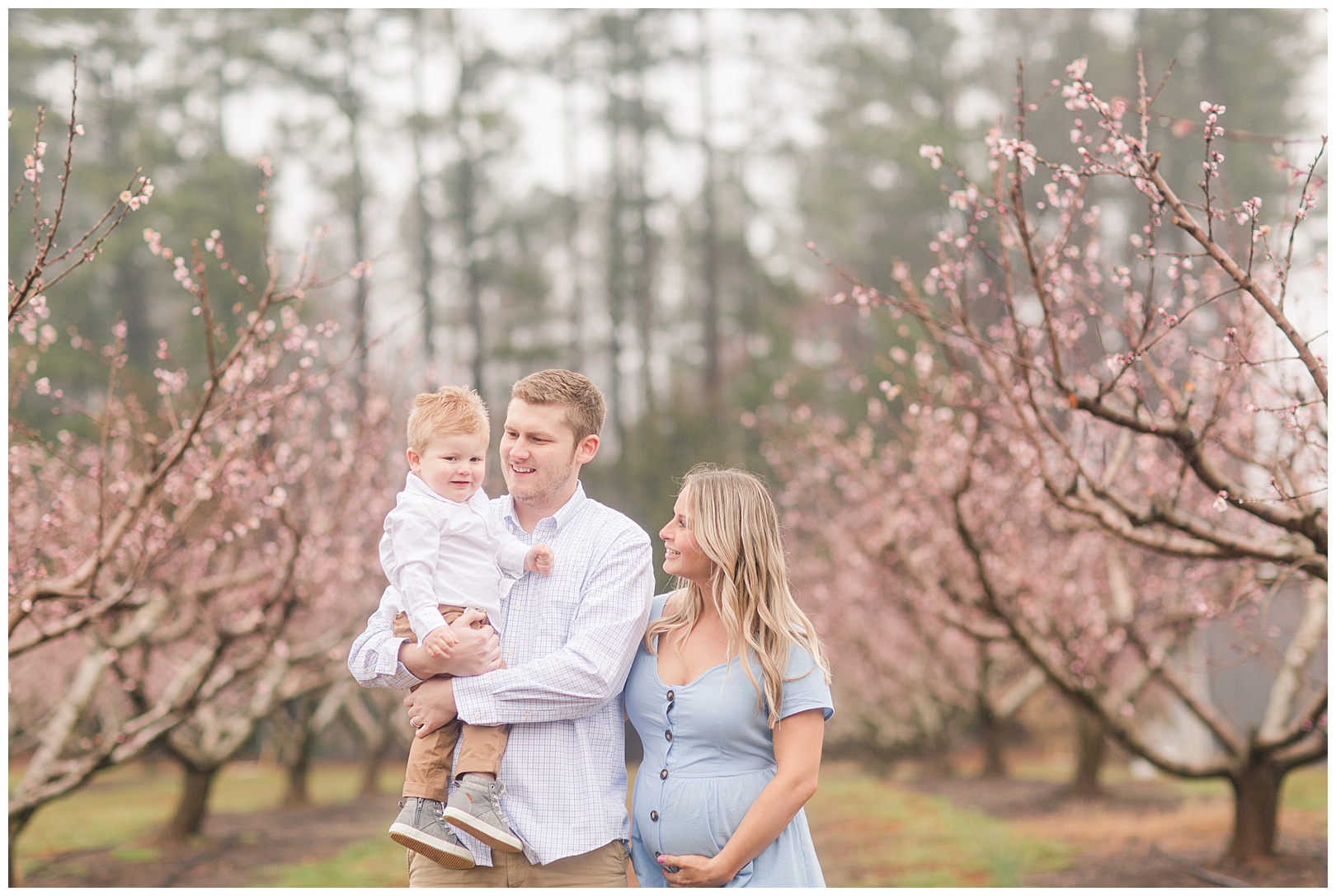 Charlotte NC Peach Tree Mini Sessions photographer