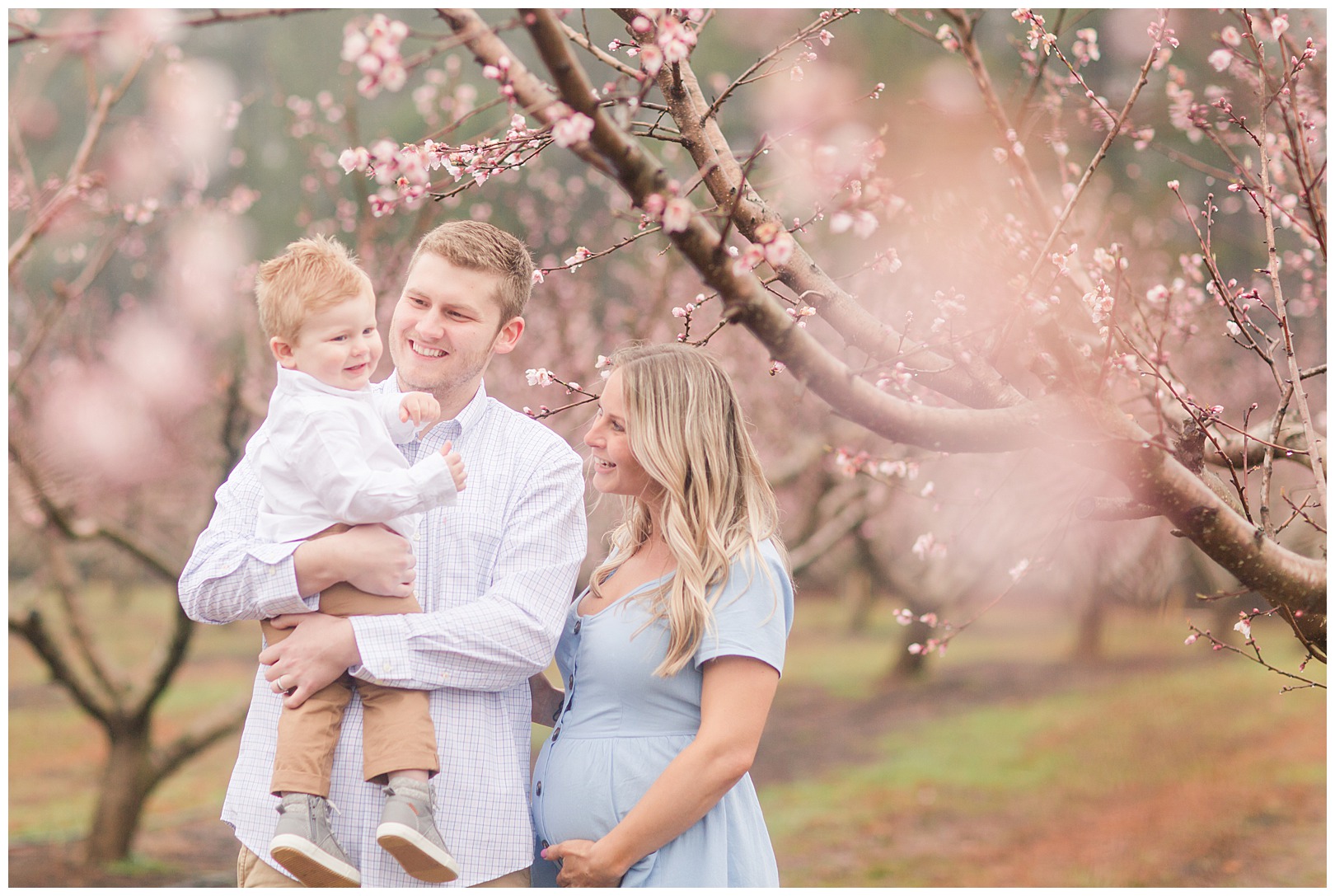 Charlotte NC Peach Tree Mini Sessions photographer