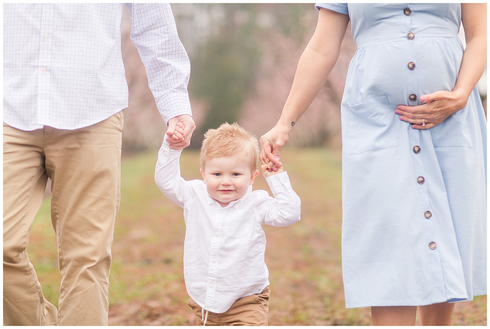 Charlotte NC Peach Tree Mini Sessions photographer