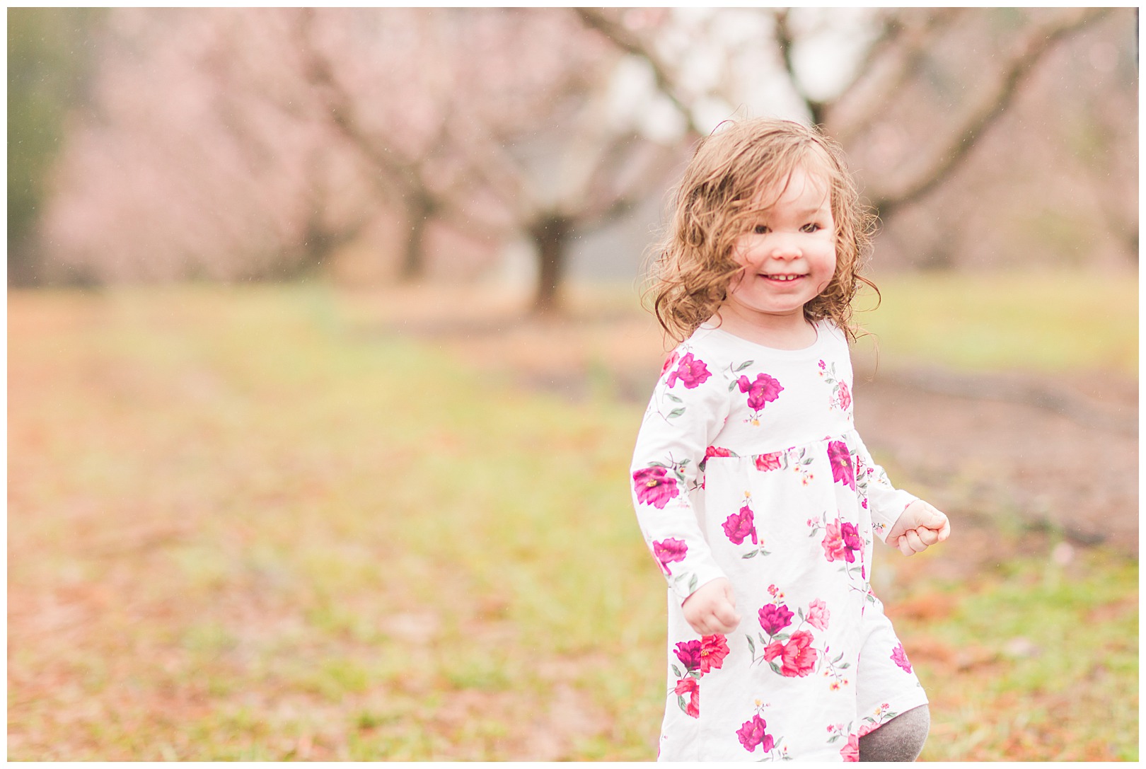 Charlotte NC Peach Tree Mini Sessions photographer