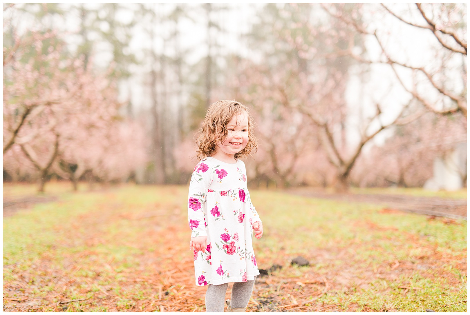 Charlotte NC Peach Tree Mini Sessions photographer