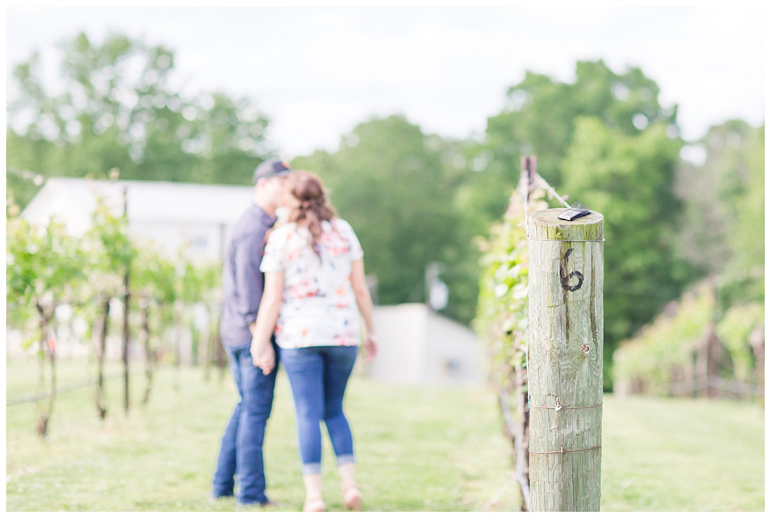 Engagement Session in Vineyard in Charlotte NC