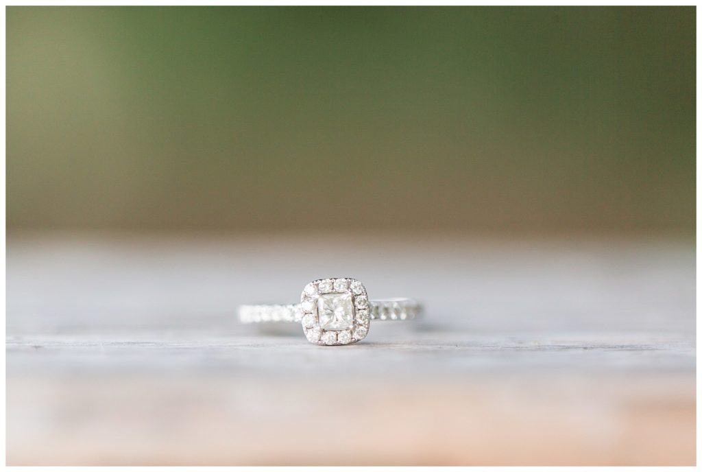 Circle M Farms engagement in lincolnton nc