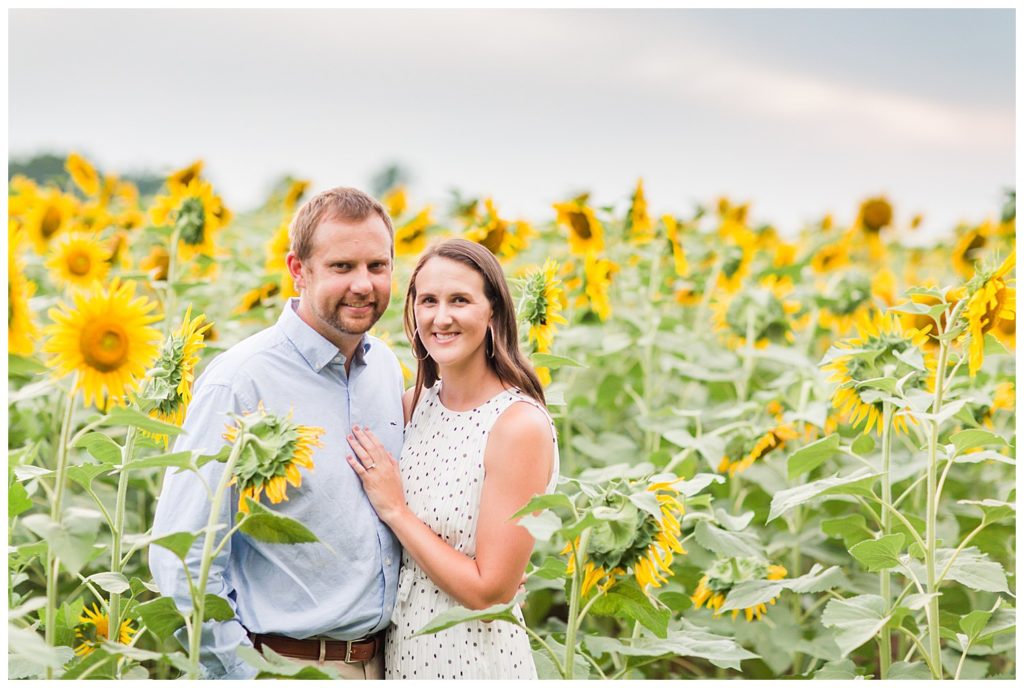 Sunflower field engagement by Charlotte wedding photographer