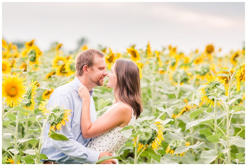 Sunflower field engagement by Charlotte wedding photographer