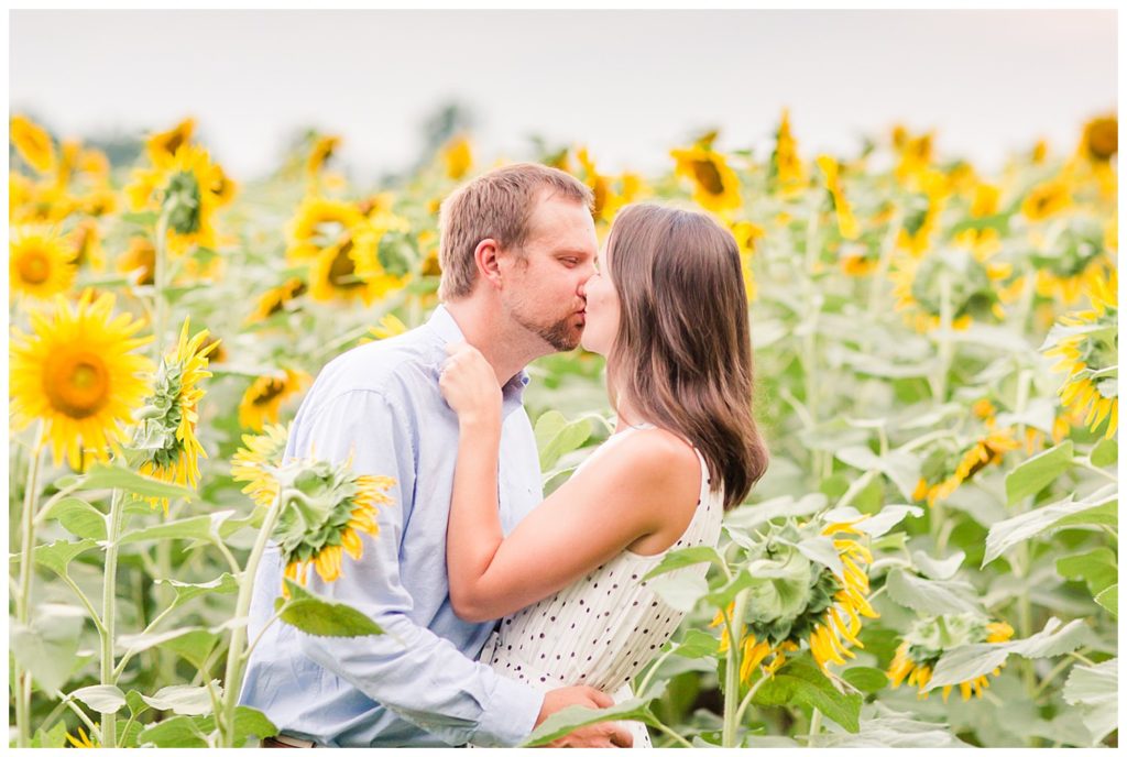 Sunflower field engagement by Charlotte wedding photographer