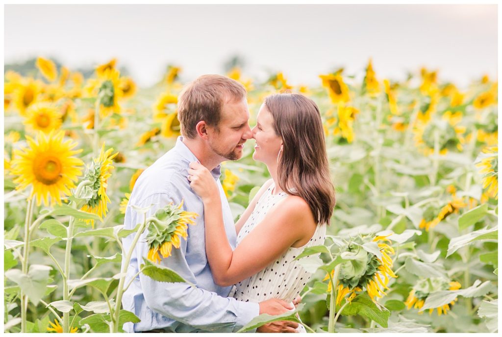 Sunflower field engagement by Charlotte wedding photographer