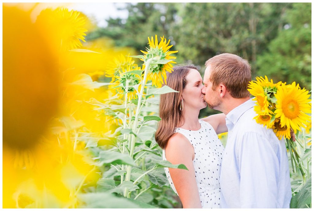 Sunflower field engagement by Charlotte wedding photographer