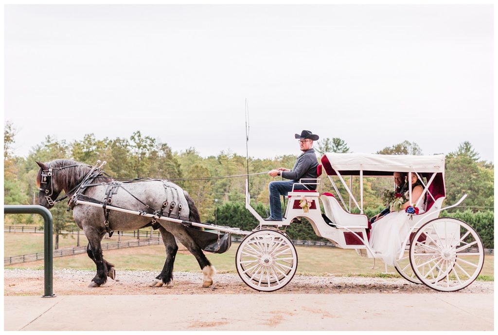 Horse carriage in Morganton, NC at Double C’s Acres by Charlotte wedding photographer, Jacqueline Jones