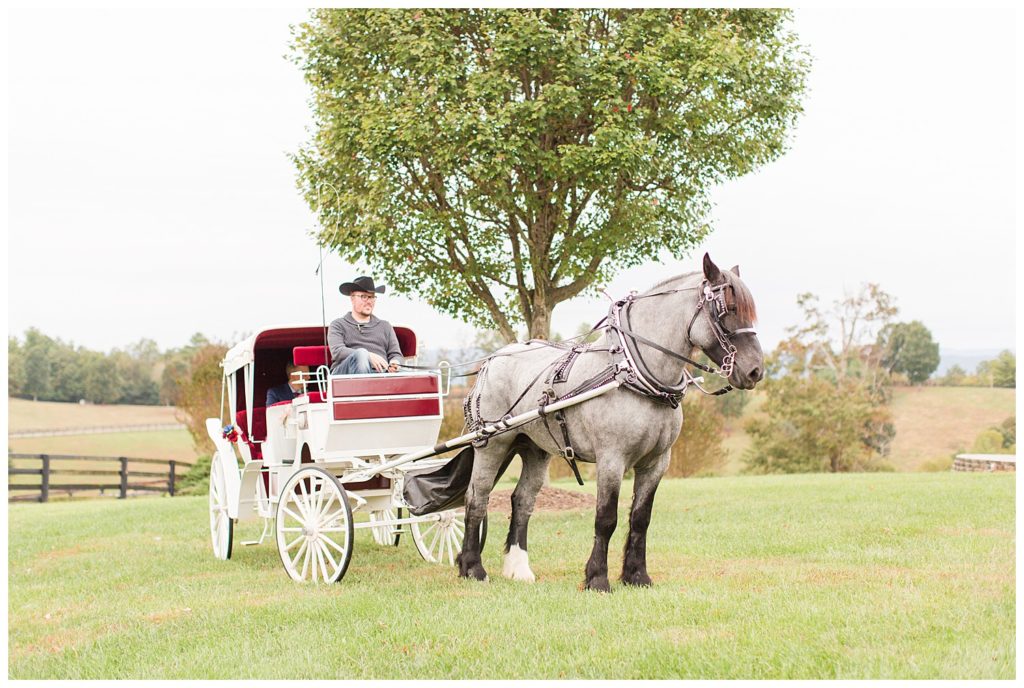 Horse carriage in Morganton, NC at Double C’s Acres by Charlotte wedding photographer, Jacqueline Jones