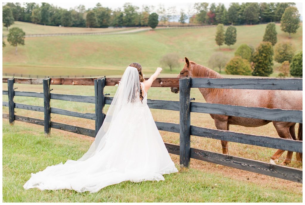 Bride and horse in Morganton, NC at Double C’s Acres by Charlotte wedding photographer, Jacqueline Jones