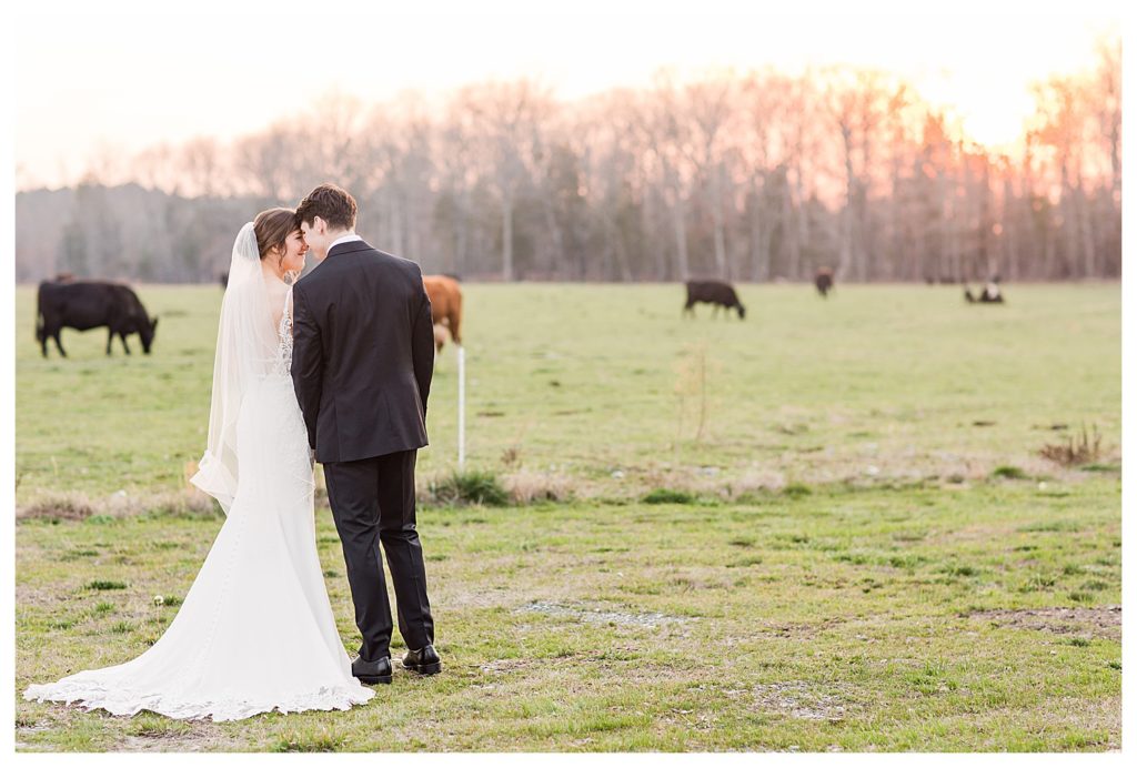 Charlotte Wedding Photographer Jacqueline Jones Photography Blue pink ivory wedding at the farmstead