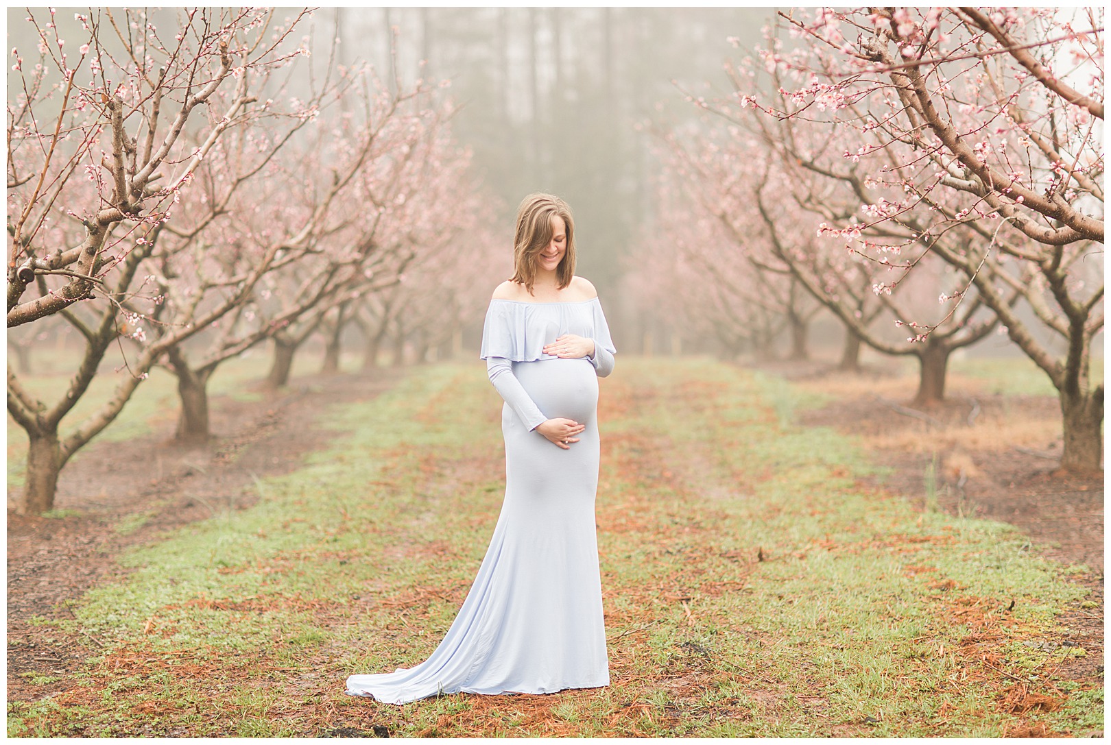 Charlotte NC Peach Tree Mini Sessions photographer