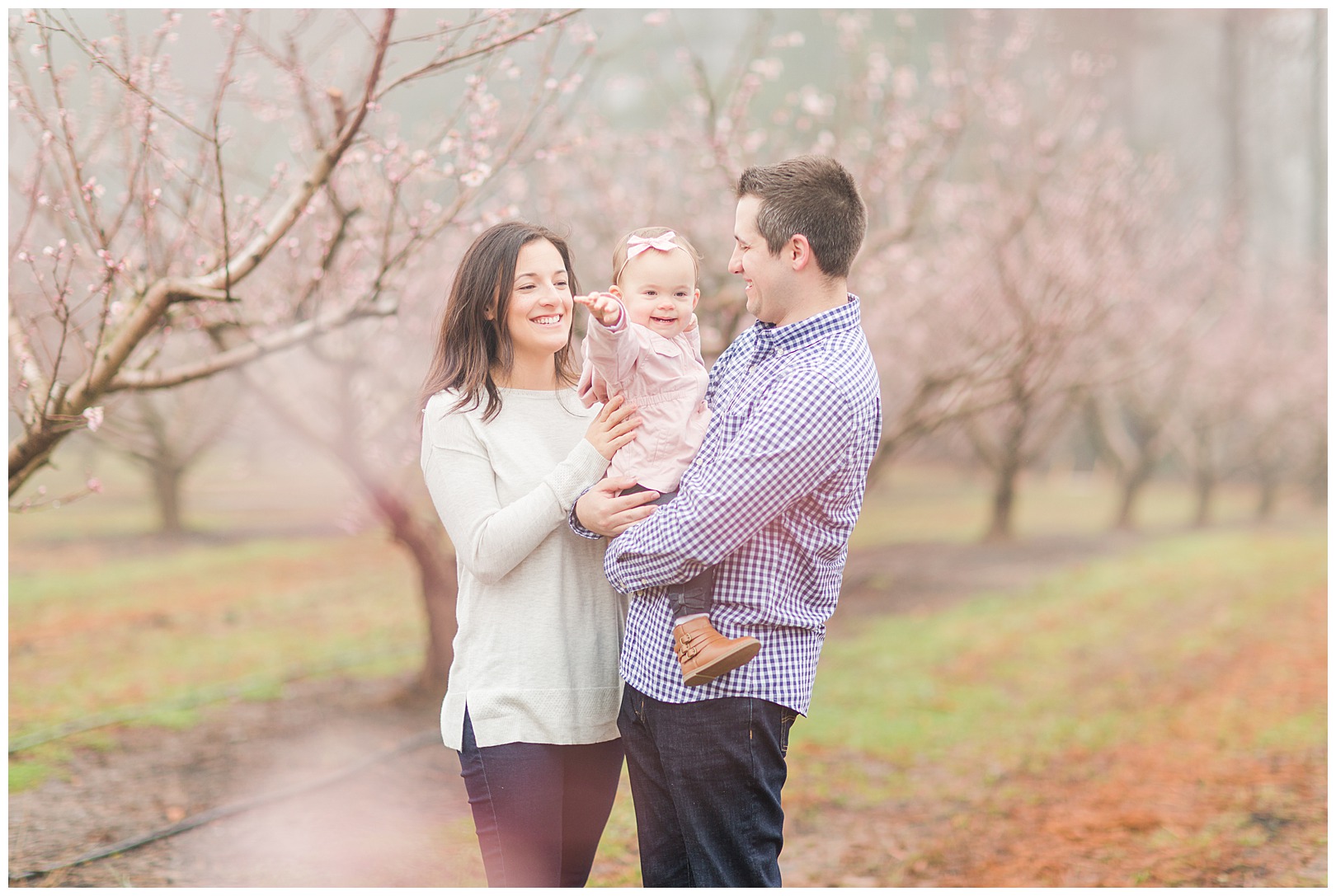 Charlotte NC Peach Tree Mini Sessions photographer