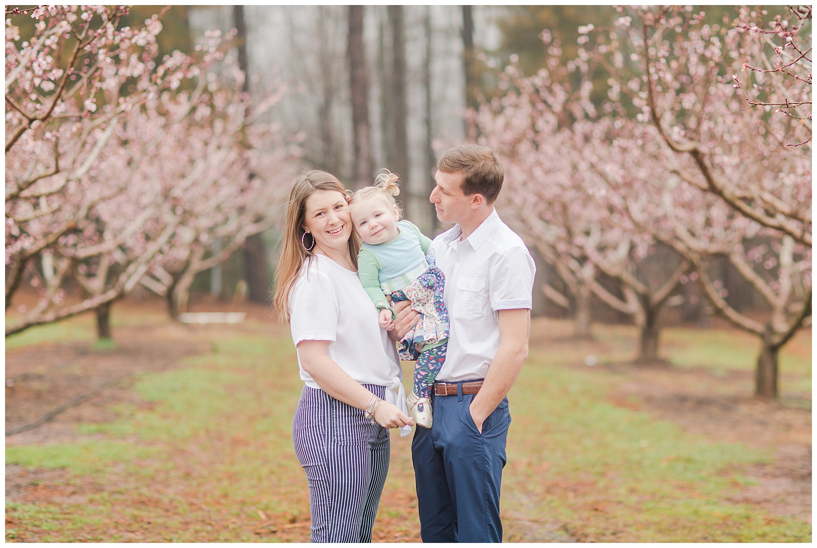 Charlotte NC Peach Tree Mini Sessions photographer