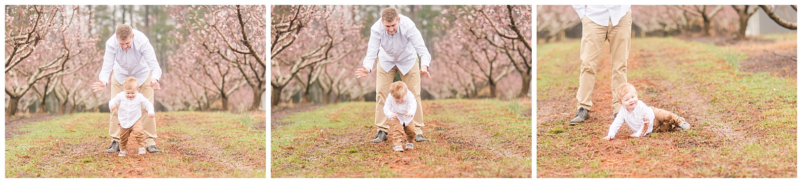 Charlotte NC Peach Tree Mini Sessions photographer