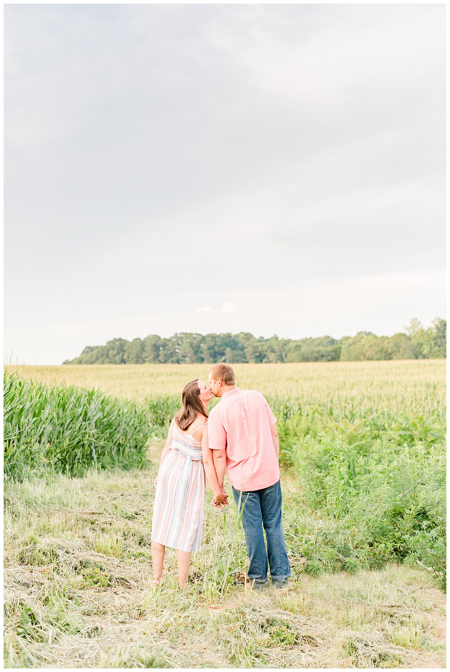 corn fields engagement session Charlotte wedding photographer